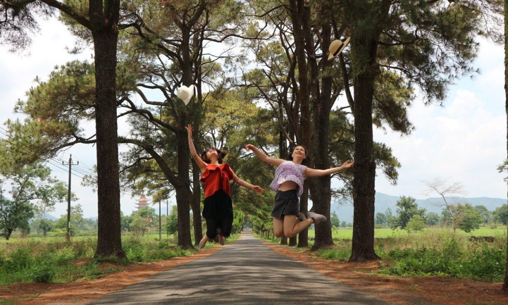 Đường thông cổ thụ Pleiku trong tour Golden Life Travel