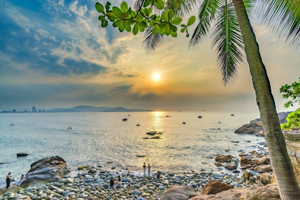 Bảng giá tour Quy Nhơn trong ngày 2026–2027: Chọn hành trình phù hợp, biết rõ chi phí