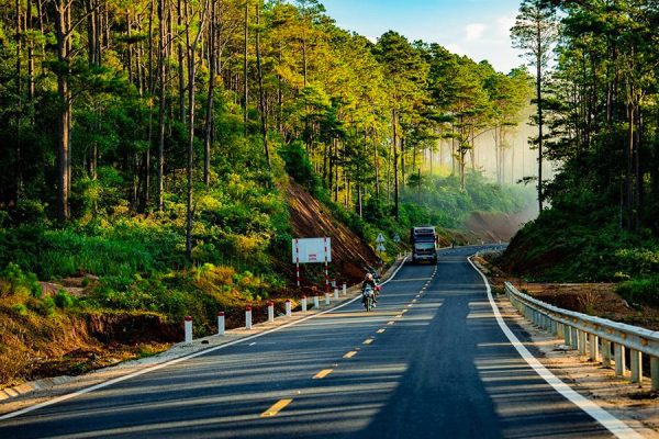 https://goldenlifetravel.vn/wp-content/uploads/2026/09/rung-thong-Mang-Den.jpg
