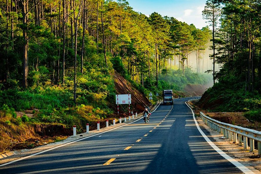 https://goldenlifetravel.vn/wp-content/uploads/2026/09/rung-thong-Mang-Den.jpg